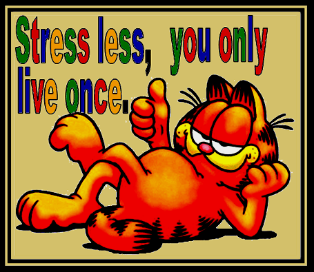 The cool cat speaks.