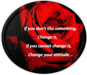 A Rose is a beautiful flower.