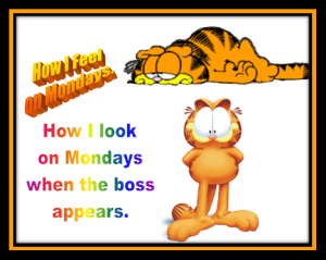 Bright eyed and bushy tailed.