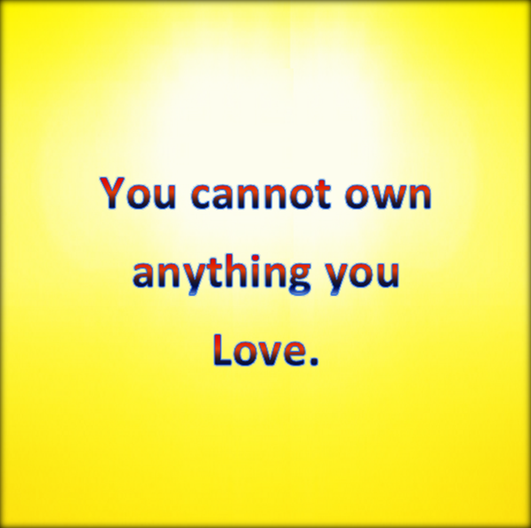 You cannot own a life.