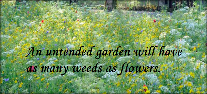 One weed with Enough Time will Destroy Every Garden.