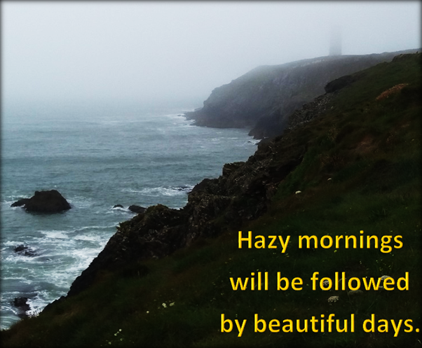 Sunshine on a cloudy day