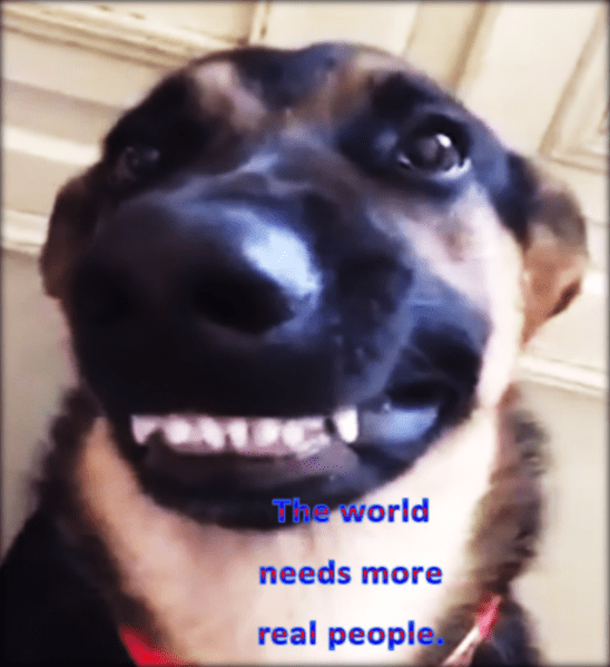 The world needs more of this